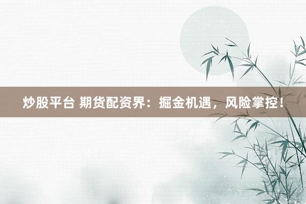 炒股平台 期货配资界：掘金机遇，风险掌控！