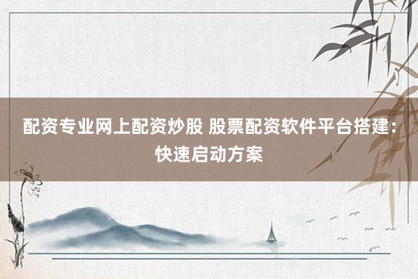 配资专业网上配资炒股 股票配资软件平台搭建：快速启动方案