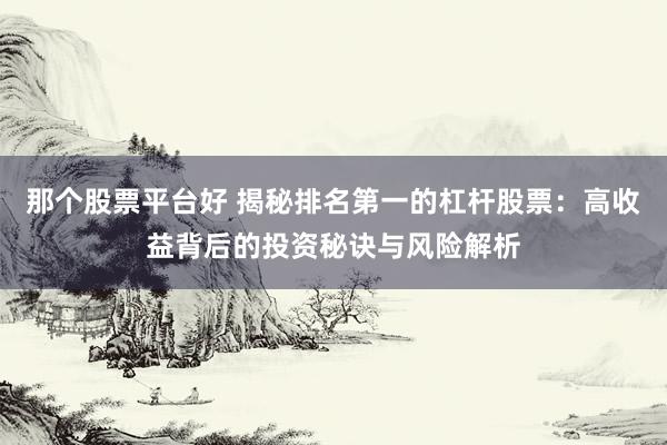 那个股票平台好 揭秘排名第一的杠杆股票：高收益背后的投资秘诀与风险解析