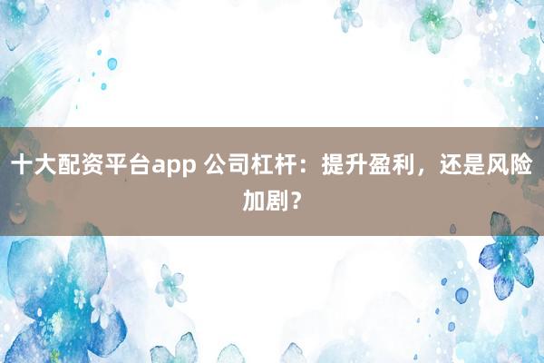 十大配资平台app 公司杠杆：提升盈利，还是风险加剧？