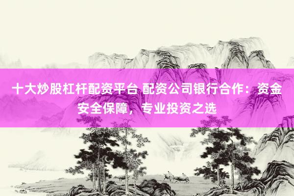 十大炒股杠杆配资平台 配资公司银行合作：资金安全保障，专业投资之选