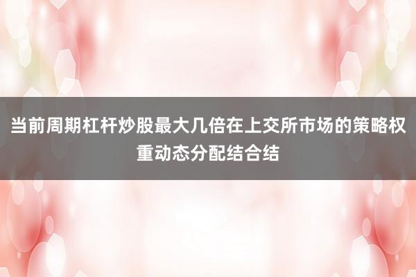 当前周期杠杆炒股最大几倍在上交所市场的策略权重动态分配结合结
